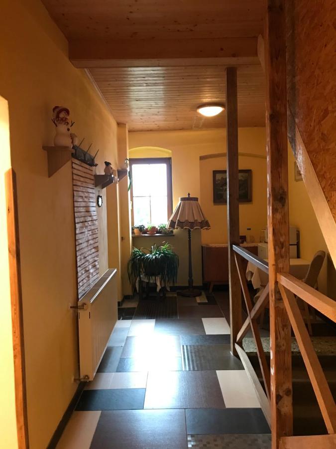 Boží DarPenzion Spicak公寓 外观 照片
