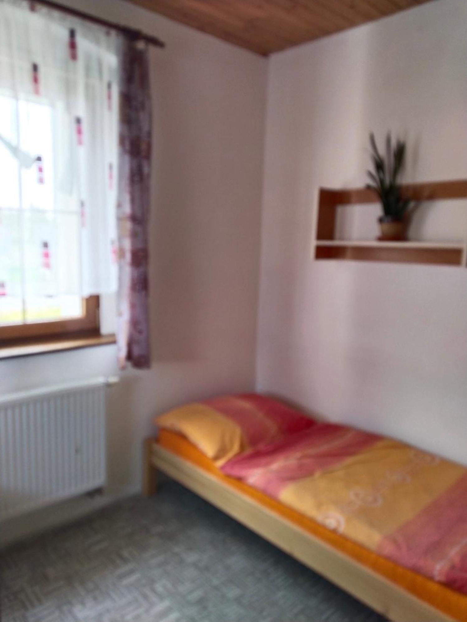 Boží DarPenzion Spicak公寓 外观 照片